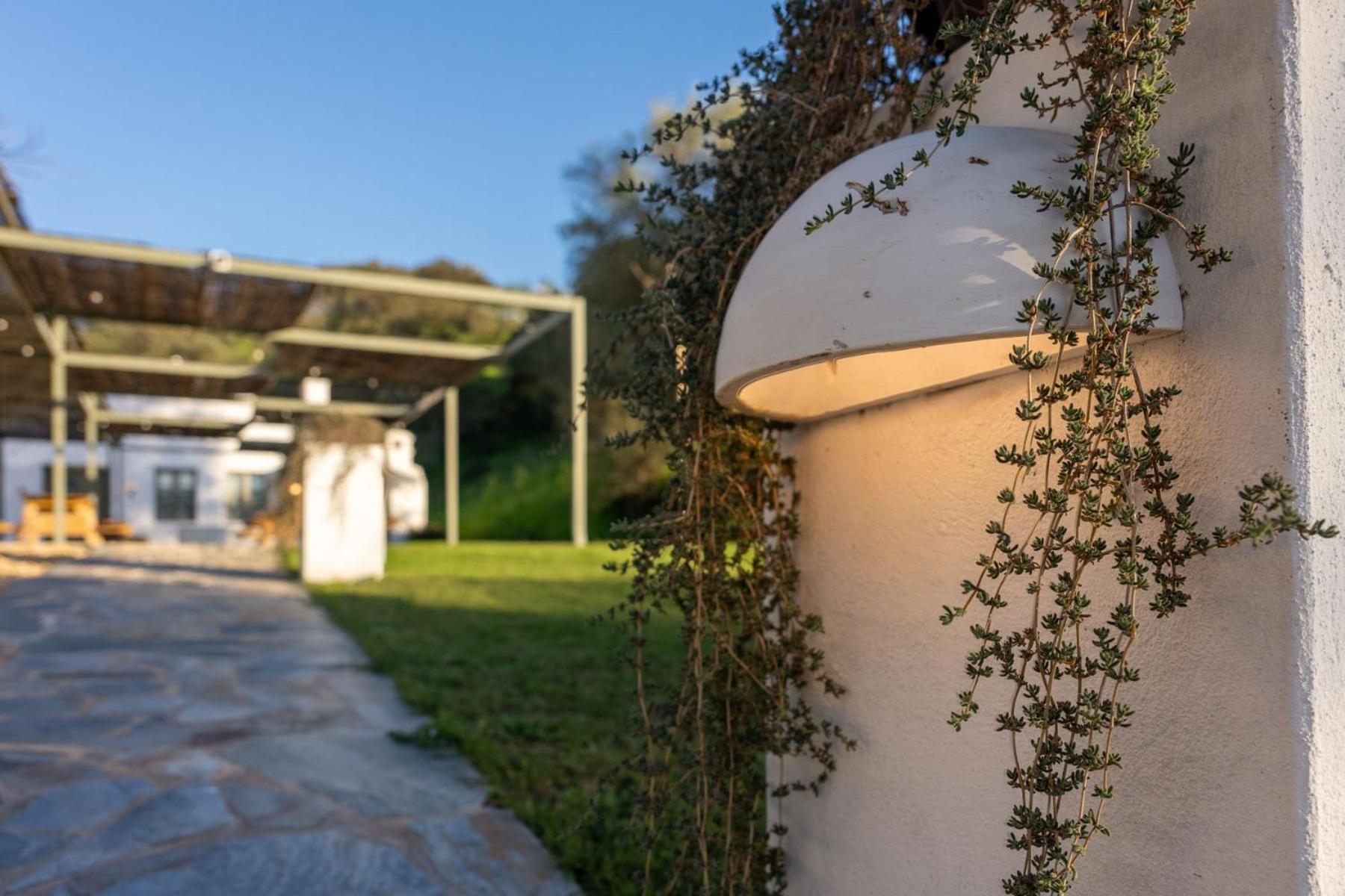 Apartamentos, Finca Contrabando Sanlucar Del Guadiana, Huelva Sanlúcar de Guadiana Dış mekan fotoğraf